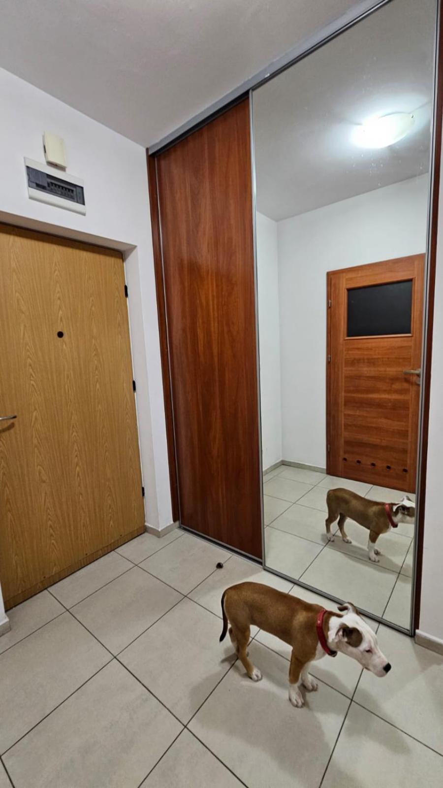 Apartament Lipinskiego Krakov Exteriér fotografie