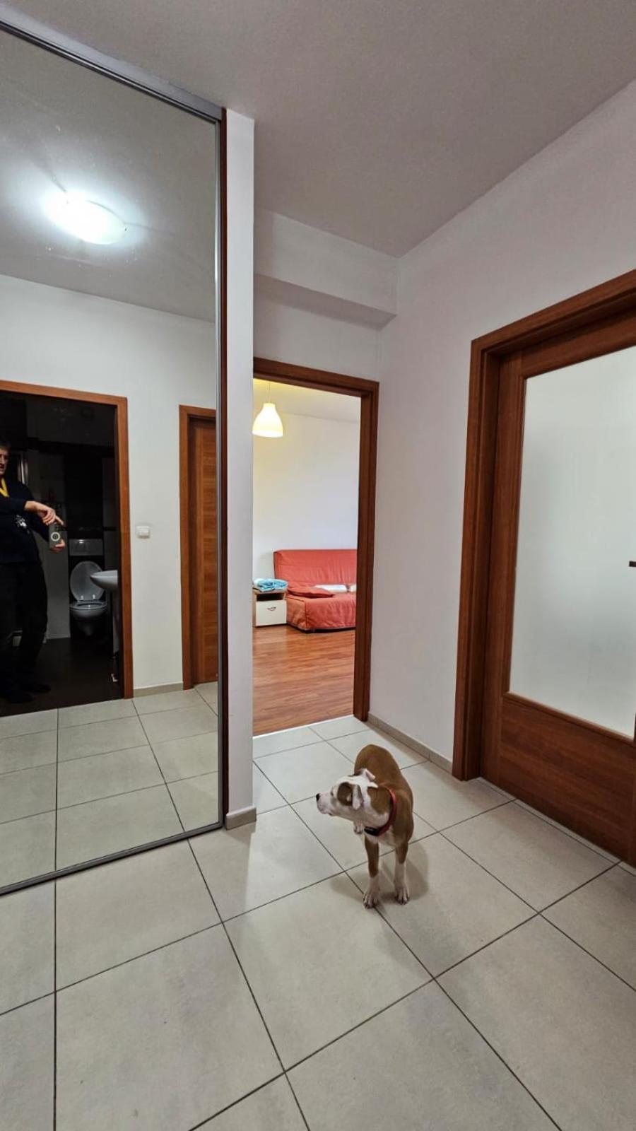 Apartament Lipinskiego Krakov Exteriér fotografie