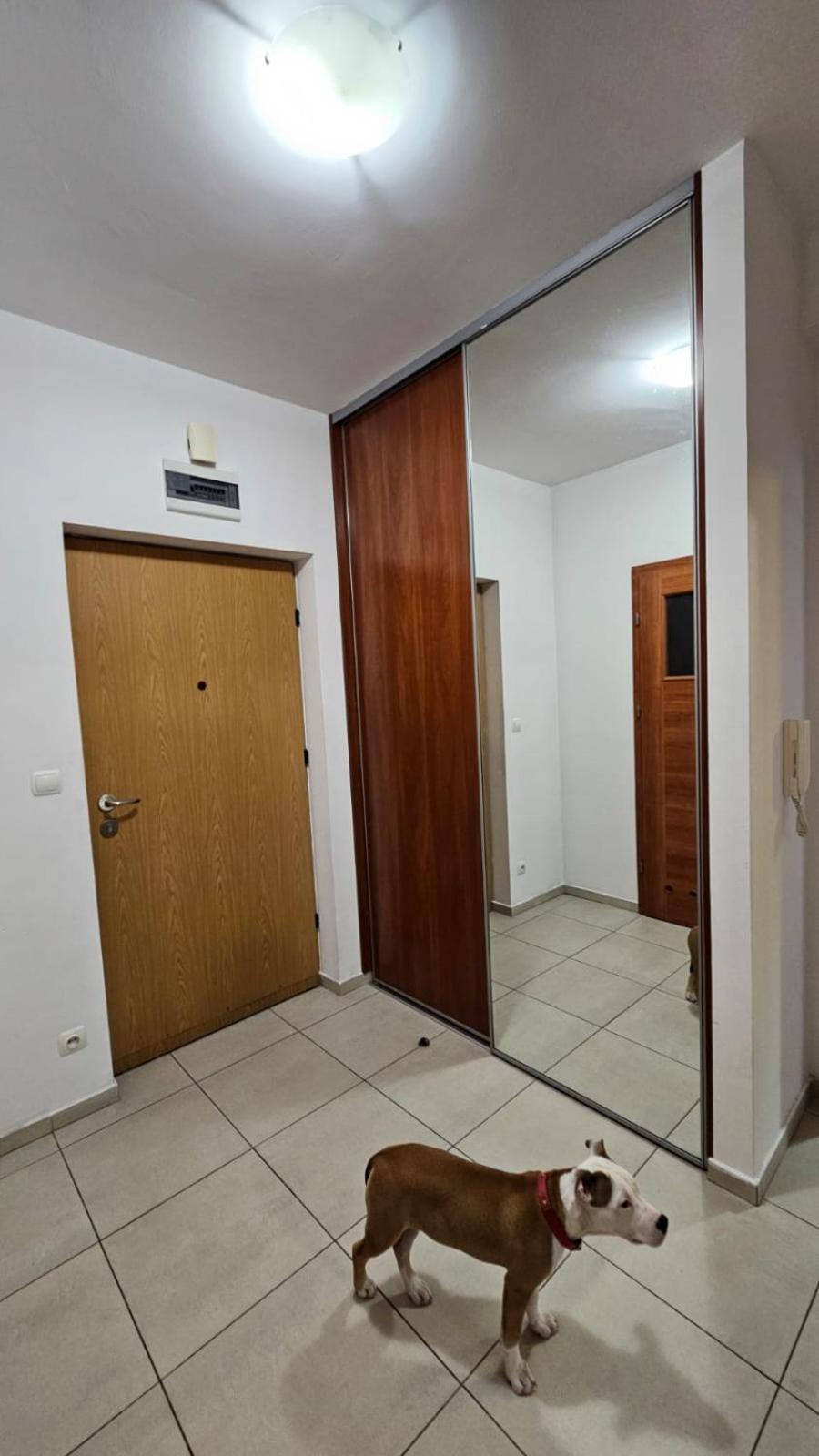 Apartament Lipinskiego Krakov Exteriér fotografie