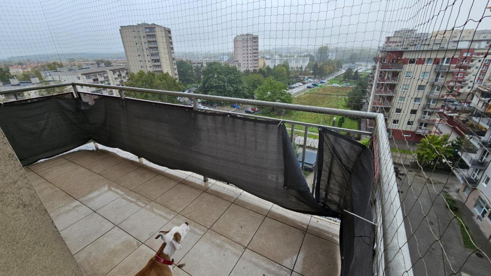 Apartament Lipinskiego Krakov Exteriér fotografie